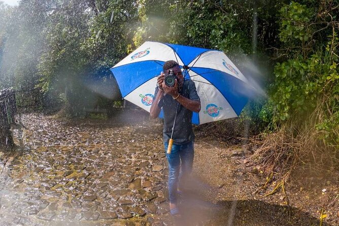 Guided Tour of the Falls - Availability and Cancellation
