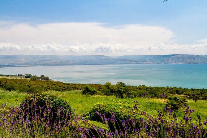 Haifa Port Shore Excursion: Nazareth and Sea of Galilee Day Tour From Haifa Port - The Sum Up