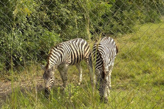 Half-day Accra Safari Tour - Customer Reviews