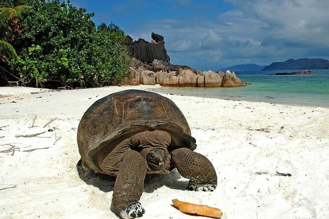 Half Day Curieuse and St Pierre Island Seychelles - Price