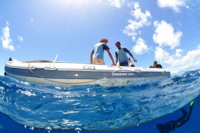 Half-Day Diving in Sal - Additional Information