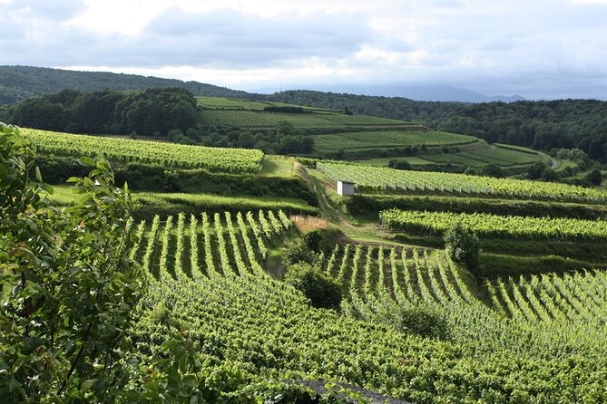 Half Day Experience in Emilia Oro Rural - Additional Information