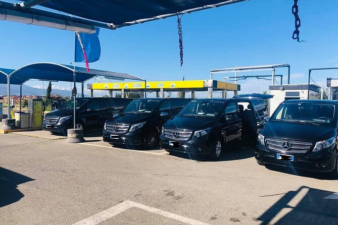 HALF-DAY From the Port of Livorno to Pisa - Participation Requirements