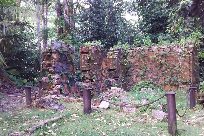 Half-Day Mahe Private Tour - Pricing and Options