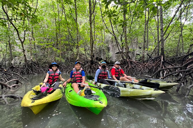 Half-Day Mangrove Kayaking in Langkawi - Customer Reviews