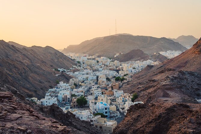 Half-Day Private Muscat City Tour - Accessibility Information