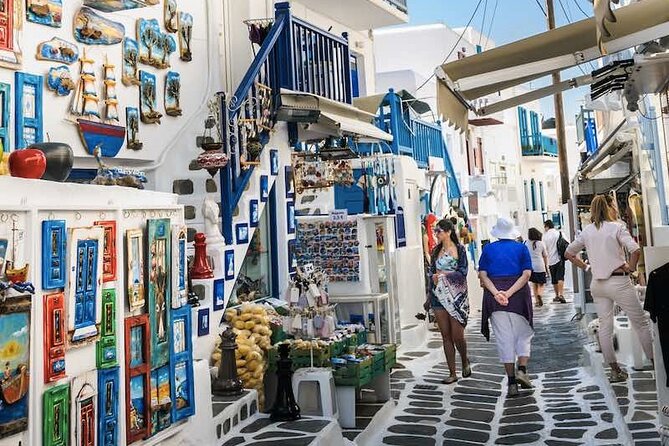 Half Day Private Tour in Mykonos Island