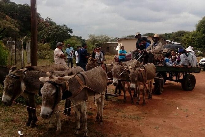 Half Day Tour From Gaborone (Manyana Village Visit) - Meeting and Pickup Information
