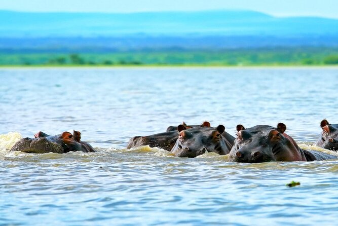 Hells Gate National Park Private Bike Tour From Nairobi - Booking Confirmation and Policies