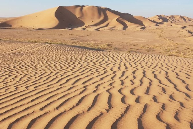 Highest Sand Dunes in the World (Ramlat Jadilah 455m) Overnight Camping - Important Considerations