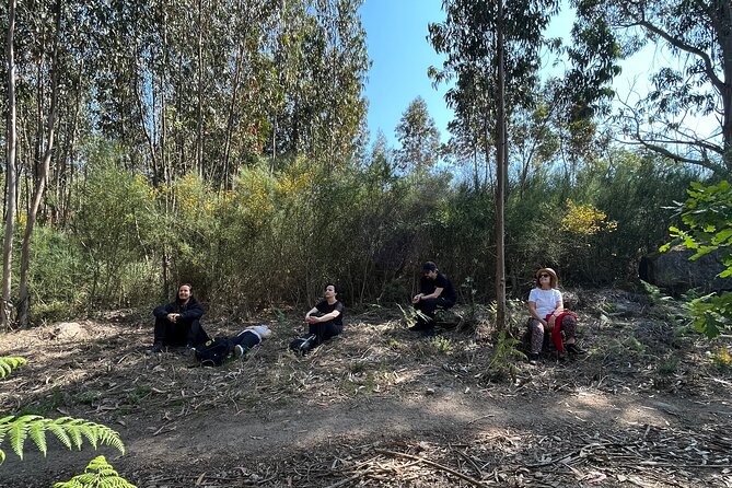Hike With Meditation at the Top Of The Mountain - Cancellation Due to Weather