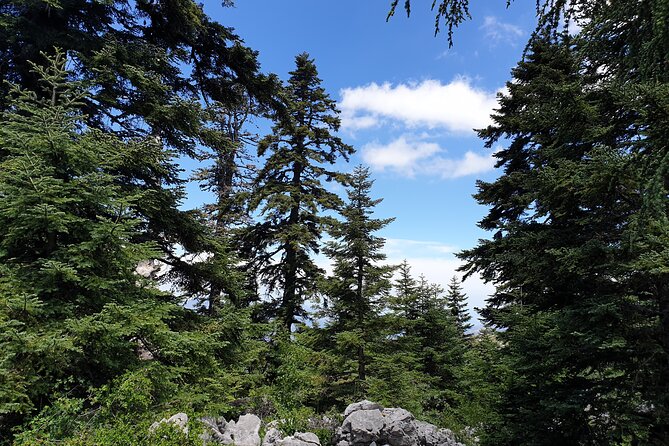 Hiking Arround Chefchaouen and Talassemtane Park With Berber Villages Visit - Frequently Asked Questions