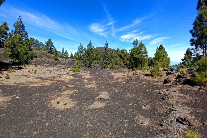 Hiking Classic Tenerife - Inclusions