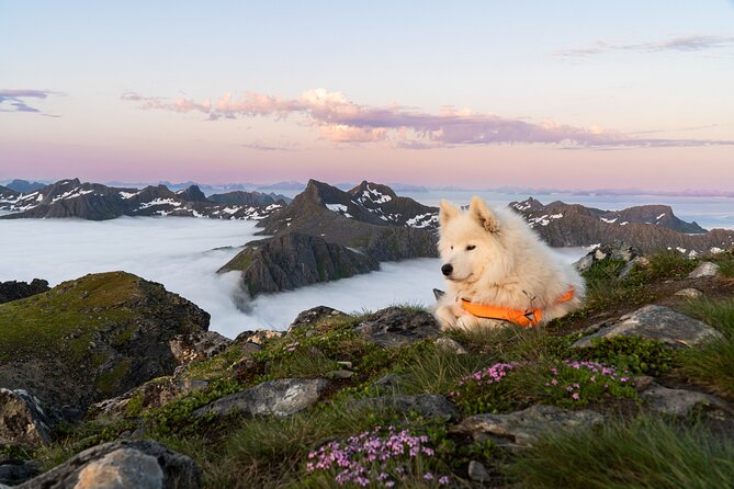 Hiking Into the Wilderness Of the Lofoten Islands Norway - Pricing and Booking