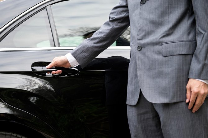 Hire a Minivan & Driver for Your Tours and Business Needs - Reviews and Ratings