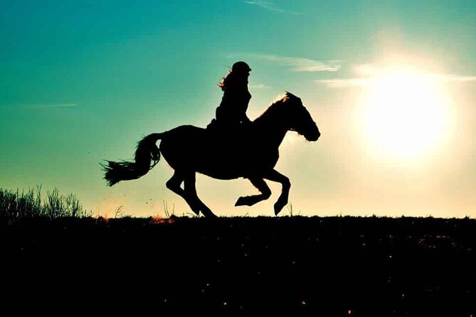 Horse Ride at Sunset With Barbecue in Agadir - Whats Included