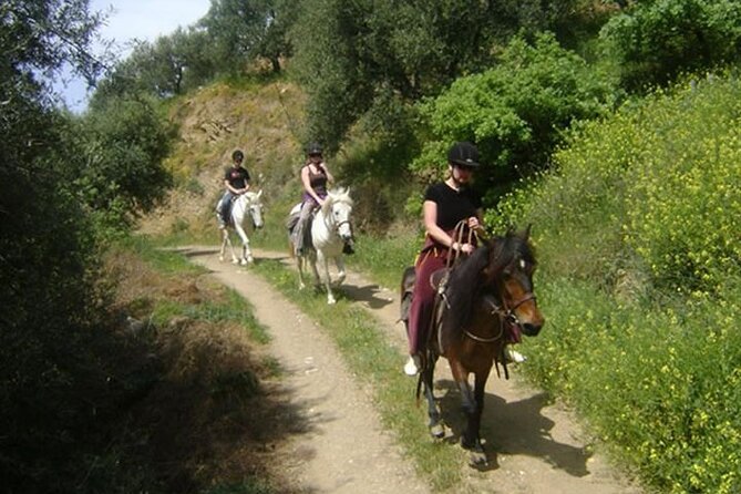 HORSE RIDING 1.5 Hours Mountains From Area Hersonissos CRETE - Accessibility