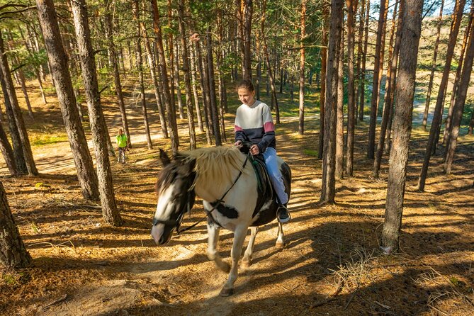 Horse Riding Experience From Bansko - Customer Reviews