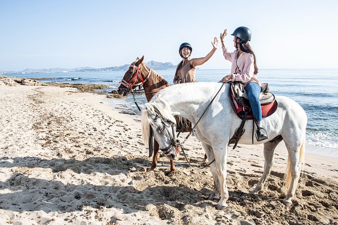 Horse Riding in Mallorca on the Beach - Meeting Point Information