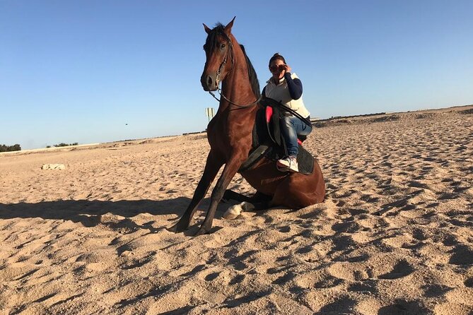 Horse Riding Two Hours at Amazing Desert in Marsa Alam With Transfer-Marsa Alam - The Sum Up