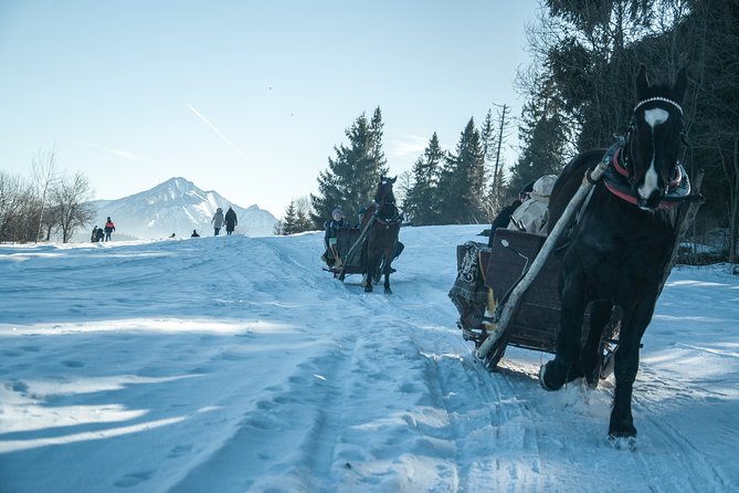 Horse Sleigh Ride in the Countyside and Thermal Pools in One Day, Private Tour - Experience Details