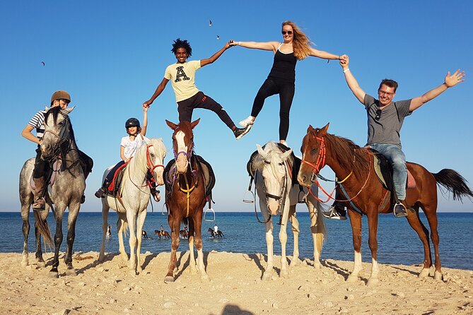 Horseback Or Camel Riding One Hour With Transfer - Sharm El Sheikh - Customer Reviews