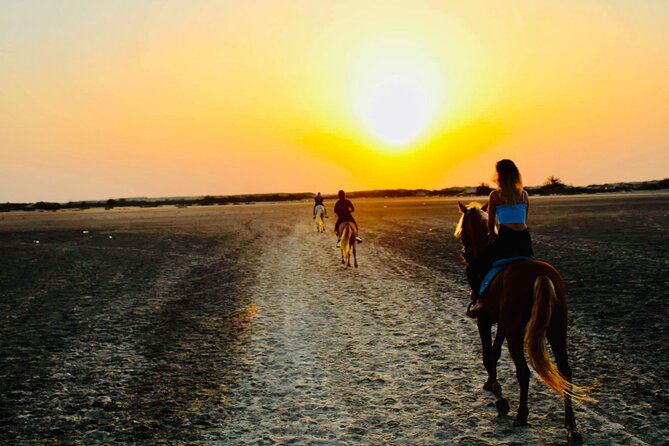Horseback Riding at Sunrise 3h - Cancellation Policy