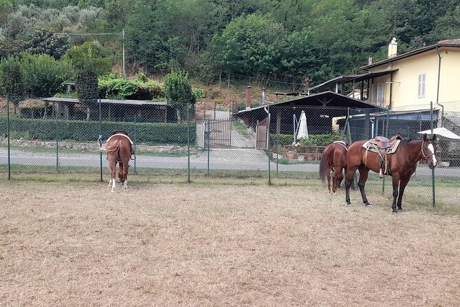 Horseback Riding Tour in the Chianti Hills in Tuscany - Restrictions