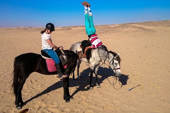 Hurghada: Arabian Desert and Sea Horseback Adventure - Sea Horseback Riding Excursion