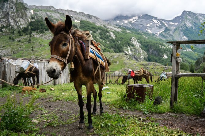 Immersive 2-Day Tour With Malësorë Shepherds Near Lezhë - Packing List