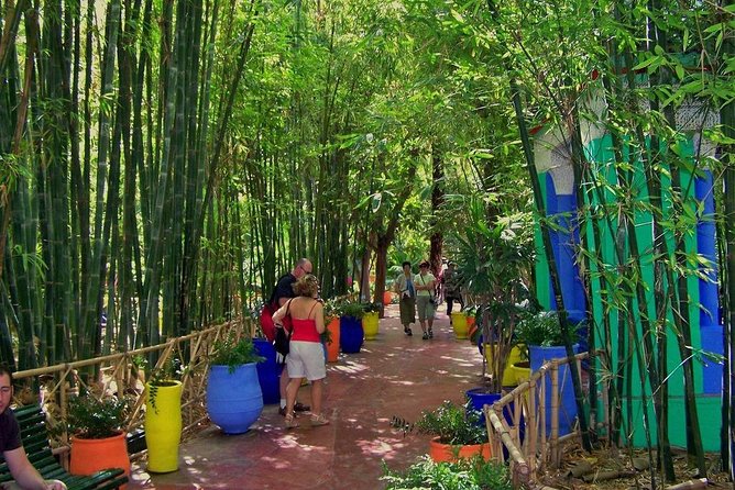 Jardin Majorelle Skip The Line Ticket With Marrakech Transfers - Reviews Overview