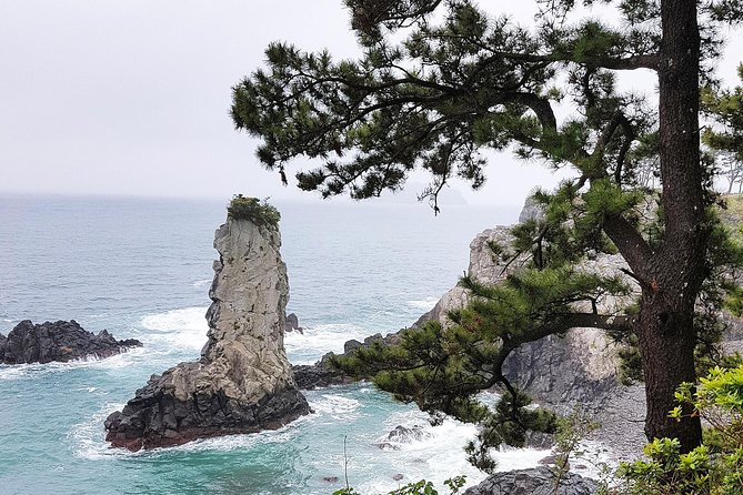 Jeju Island South UNESCO Day Tour With Lunch Included - Cancellation Policy