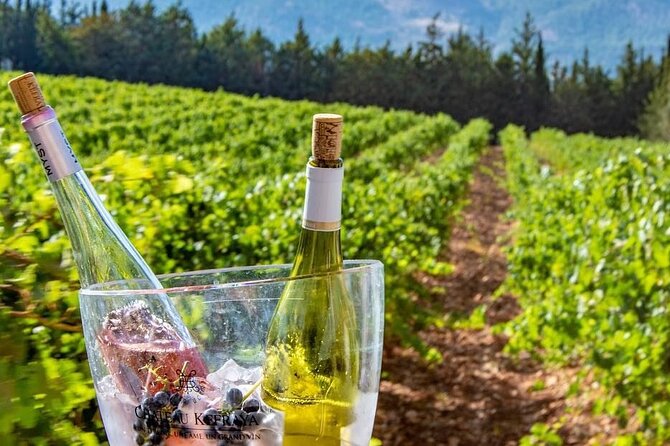 Journey Through Lebanese Wine: A Private Tour in the Beqaa Valley - Cultural Insights Shared