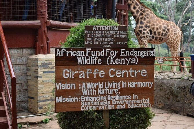 Karen Blixen Museum & Giraffe Centre Half Day Tour - Additional Information
