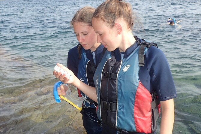 Kayak Denia - Kayak & Snorkeling in Cova Tallada - Pricing Information