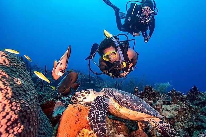 Kemer Scuba Diving Experience With Lunch and Transfer - Experience Schedule