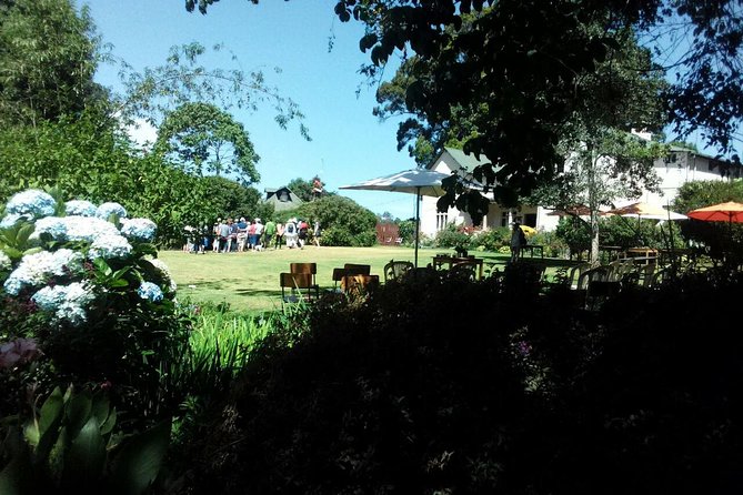 Kiambethu Tea Farm Day Tour From Nairobi - Important Notes