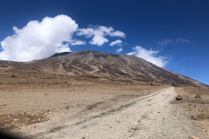 Kilimanjaro 8 Days Lemosho Route - Pickup and Briefing