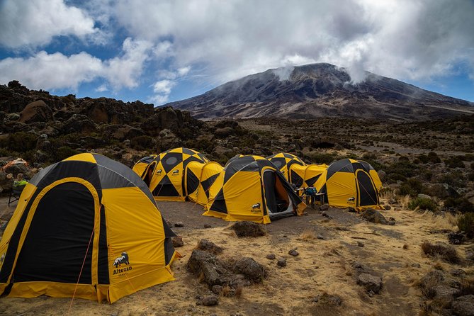 Kilimanjaro Climb by Lemosho Route (7-Day) - Price Details and Reviews