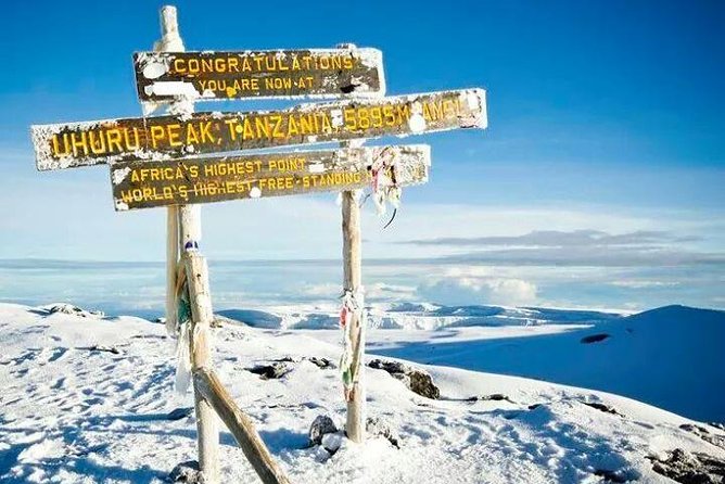 Kilimanjaro Climbing Day Trip - Price and Booking