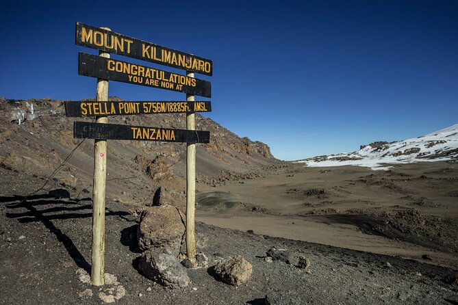 Kilimanjaro Day Hike Marangu Route - Reviews