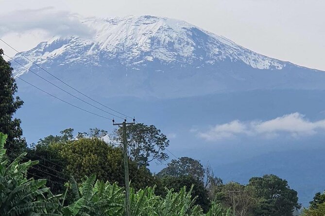 Kilimanjaro Day Trip Starting From Arusha - Additional Trip Details