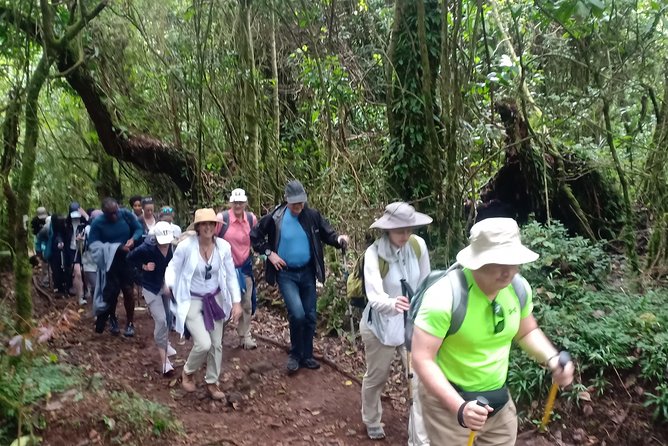 Kilimanjaro Excursion 6 Days Marangu Route - Important Considerations
