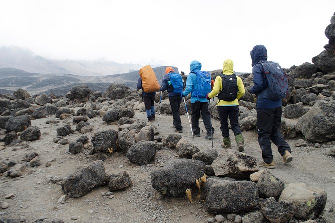 Kilimanjaro Lemosho Route 8 Days - Pickup and Transfer Information