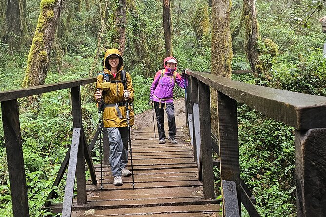 Kilimanjaro Machame Route 7 Days - Day 4: Barranco Camp to Karanga Camp