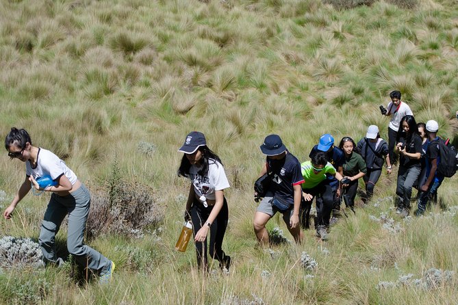 Kilimanjaro Marangu Route 6 Days - Recommendations