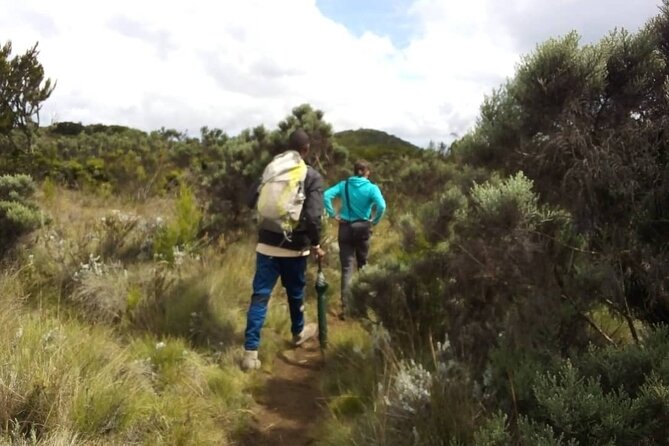 Kilimanjaro National Park Day Trip - Transportation Details