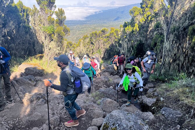 Kilimanjaro Northern Circuit Route 8 Days - Additional Information and Recommendations