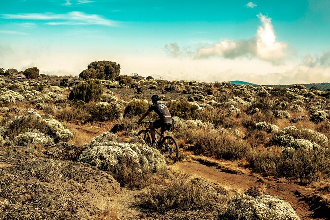 Kilimanjaro Shira Plateau Bike Day Trip - Additional Details