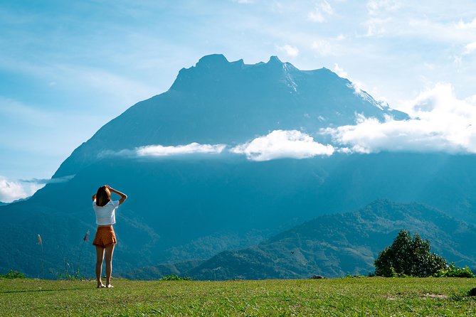 Kinabalu Park & Poring Hot Spring & Canopy Walk - Price